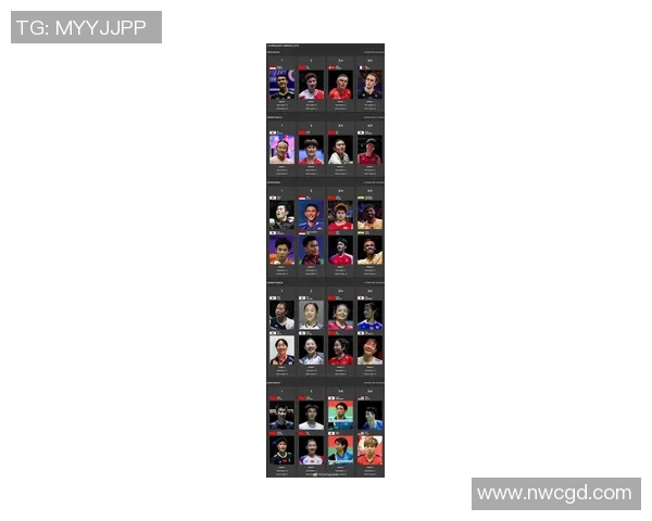 全球羽毛球体育明星排名及其成就分析与未来展望